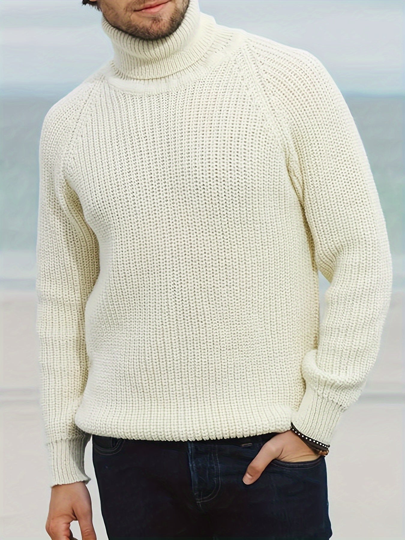 Jacob | Men Solid Ribbed Turtleneck Sweater